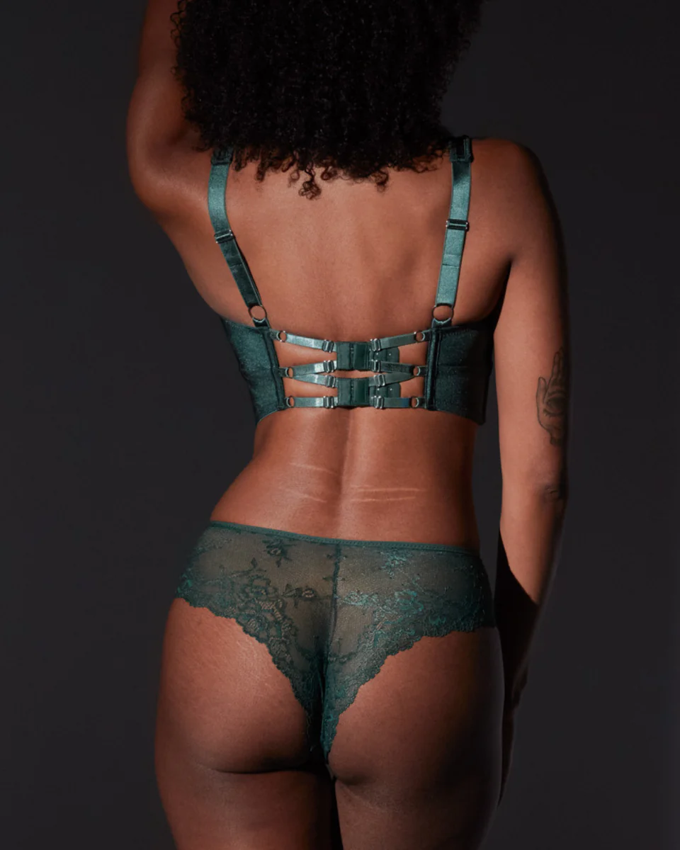 Thistle and Spire Cyrene Bodice and Panty Set rear
