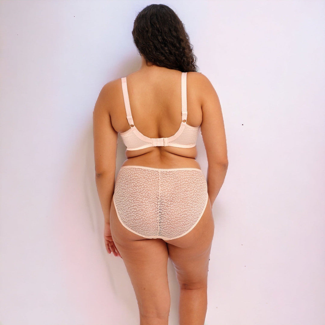 Elomi Lucie Plunge Bra in Blush, Back View