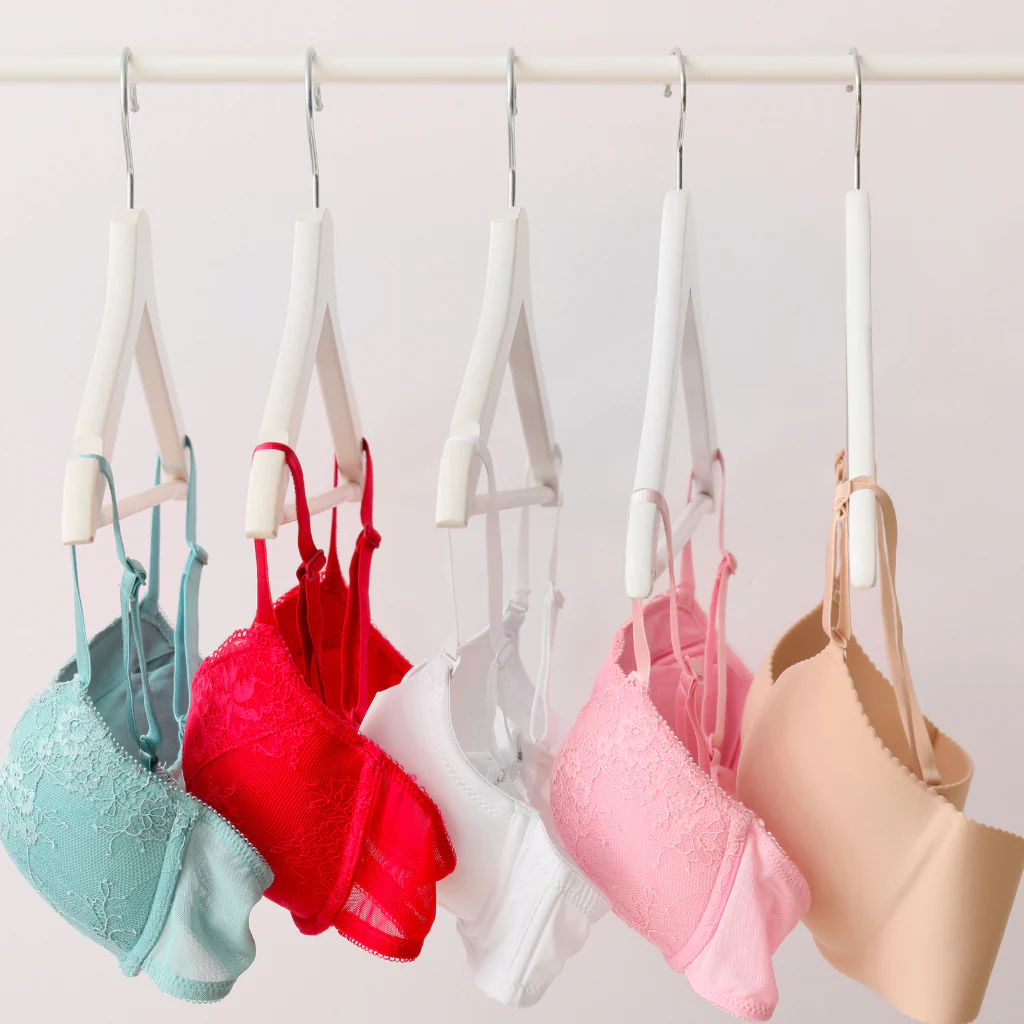 Bra & Lingerie Storage