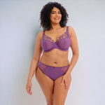 Elomi Charley Brazilian Panty in Pansy color