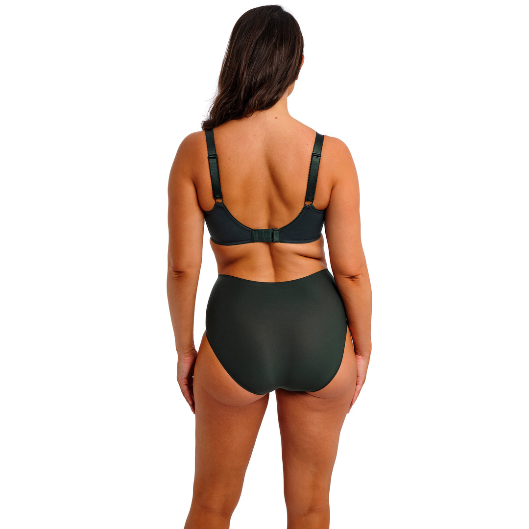 Fantasie Fusion evergreen full bust bra and brief set rear