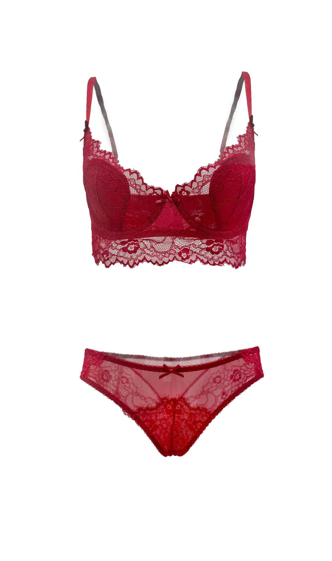 Ruby Nocturne Lace and Mesh Bikini Panty