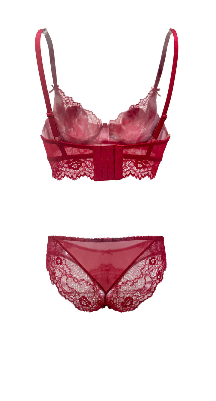 Ruby Nocturne Lace and Mesh Bikini Panty