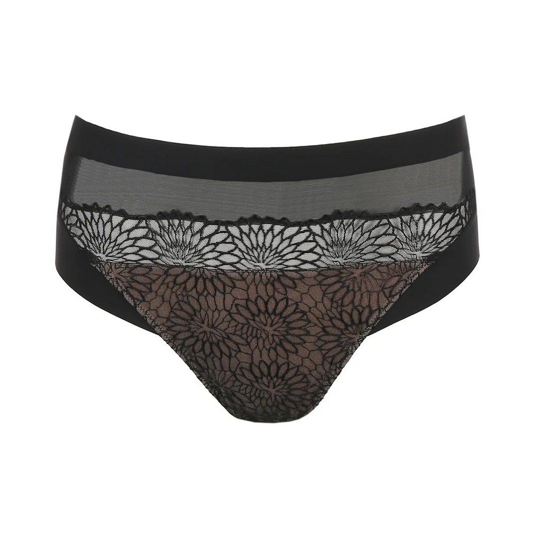 Prima Donna Sophora Full brief