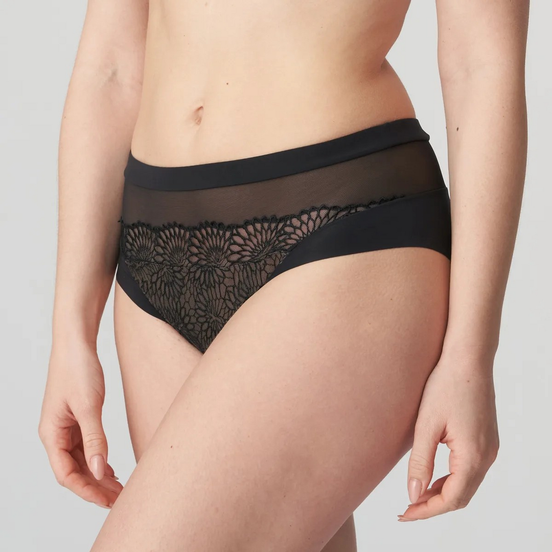 Prima Donna Sophora Full brief