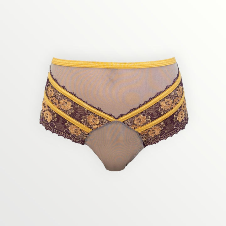 Babylon Exquisite Highwaisted Lace and Tulle Panty