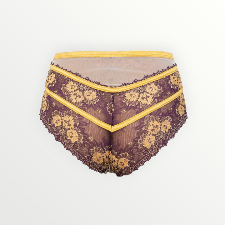 Babylon Exquisite Highwaisted Lace and Tulle Panty