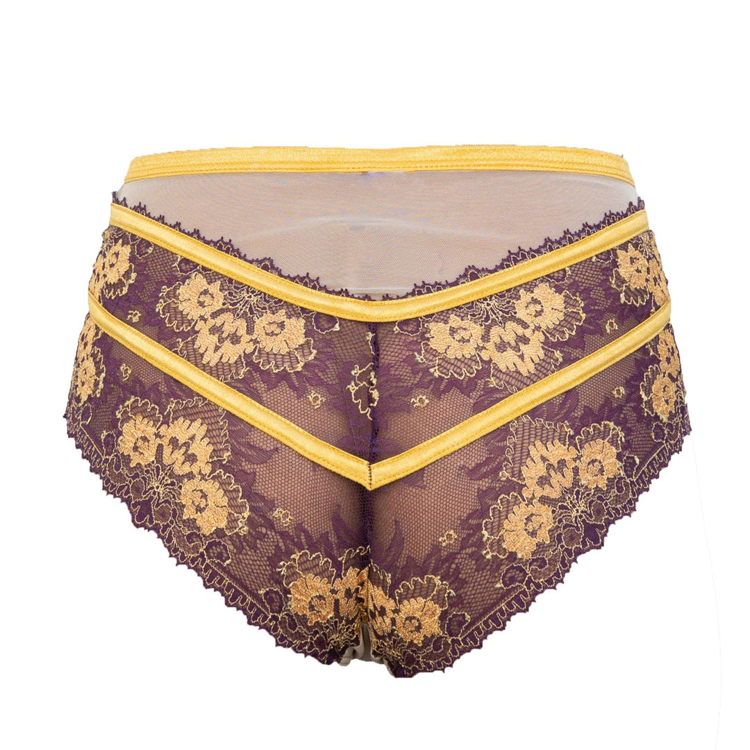 Babylon Exquisite Highwaisted Lace and Tulle Panty