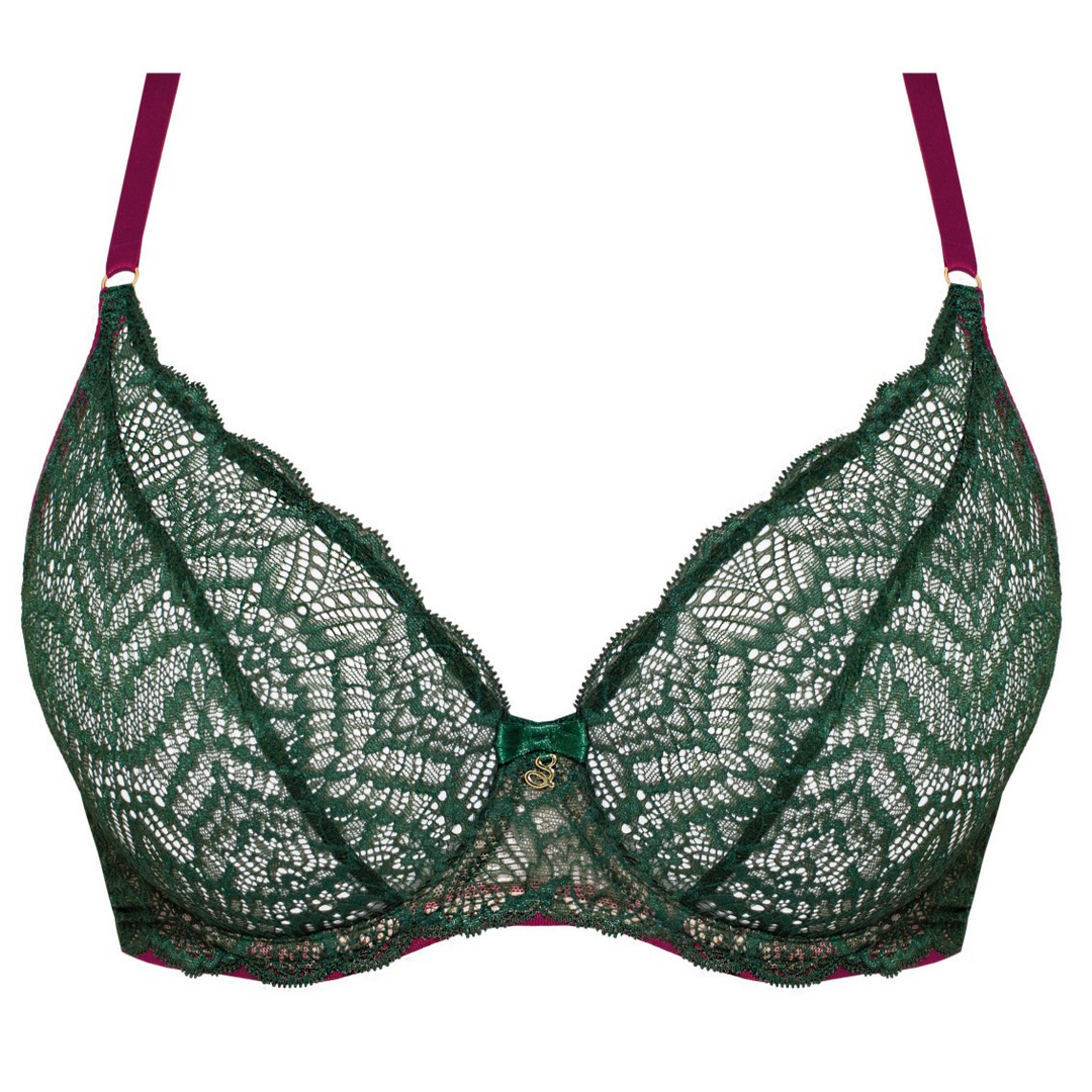 Samanta Polish Charlotte lace plunge bra 