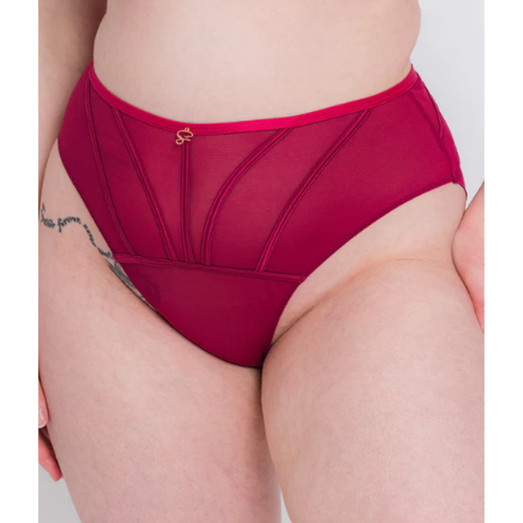 Scantilly Senses High Waist Brief in Cherry color